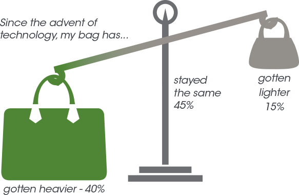 What's in her Bag. Scale Inforgraphic.