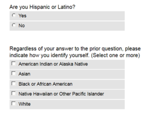 An image of census questions asking about a person's ethnicity.